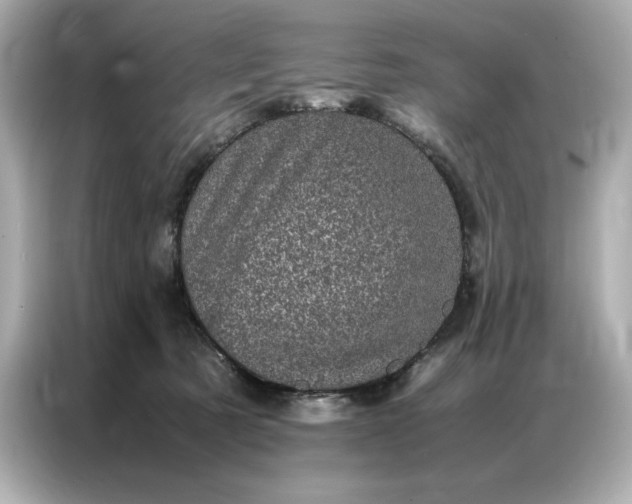 X0000086970321200704301303