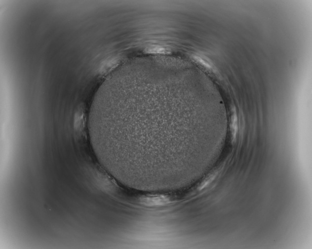 X0000086970322200704301303