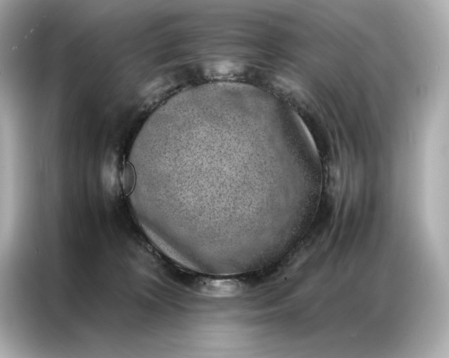 X0000086970324200704301303