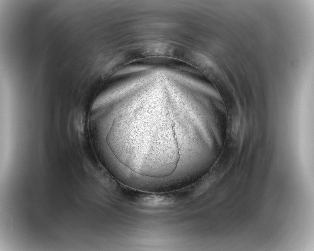 X0000086970326200704301303