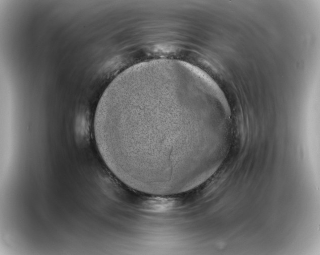 X0000086970328200704301302