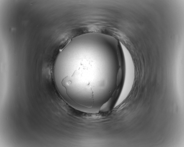 X0000086970329200704301302