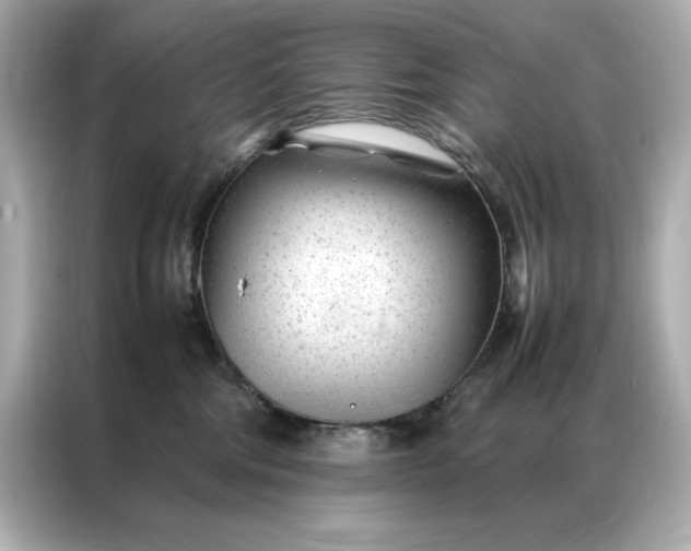 X0000086970330200704301302