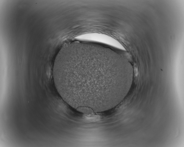 X0000086970331200704301302