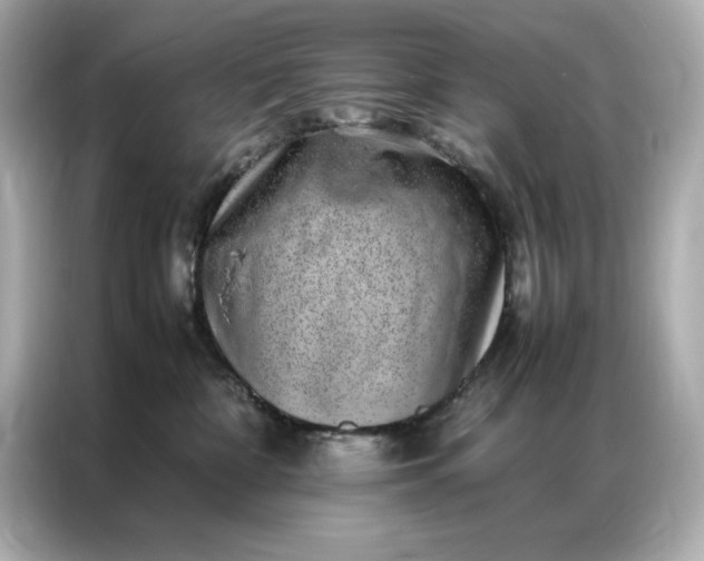 X0000086970332200704301302