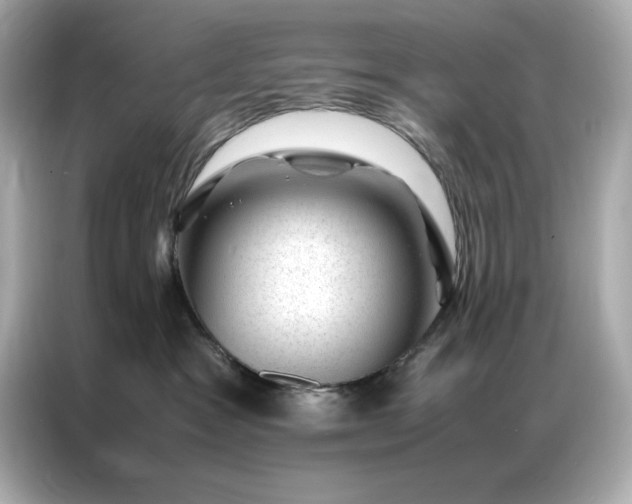 X0000086970333200704301302