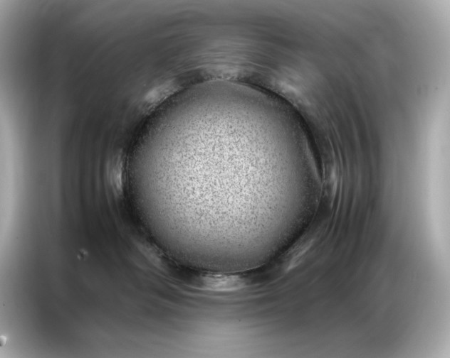 X0000086970334200704301302