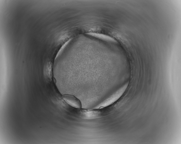 X0000086970336200704301302