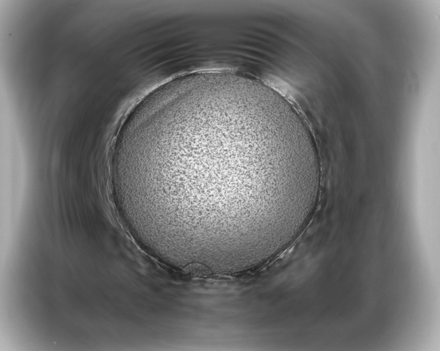 X0000086970337200704301302