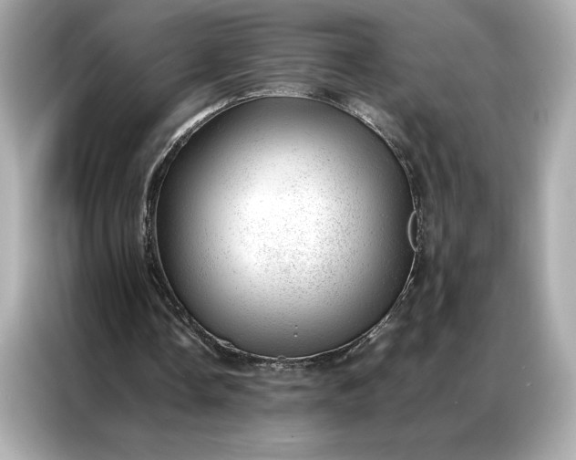 X0000086970338200704301302