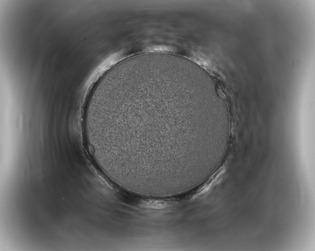 X0000086970341200704301302