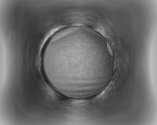 X0000086970342200704301302