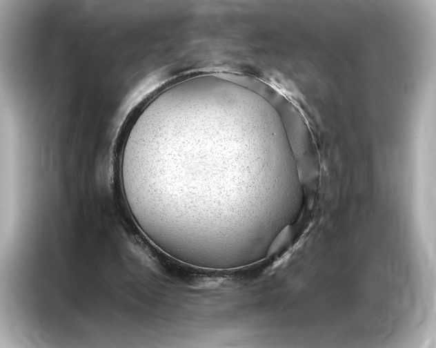 X0000086970344200704301302