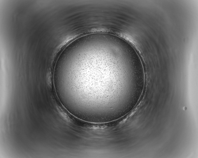 X0000086970345200704301302