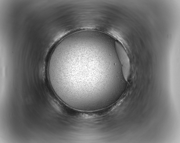 X0000086970346200704301302