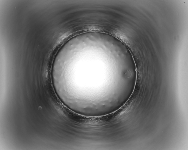 X0000086970347200704301302