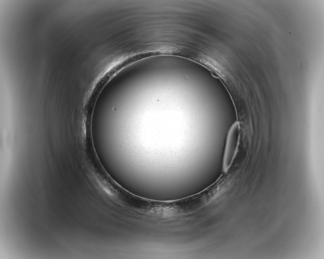 X0000086970350200704301302