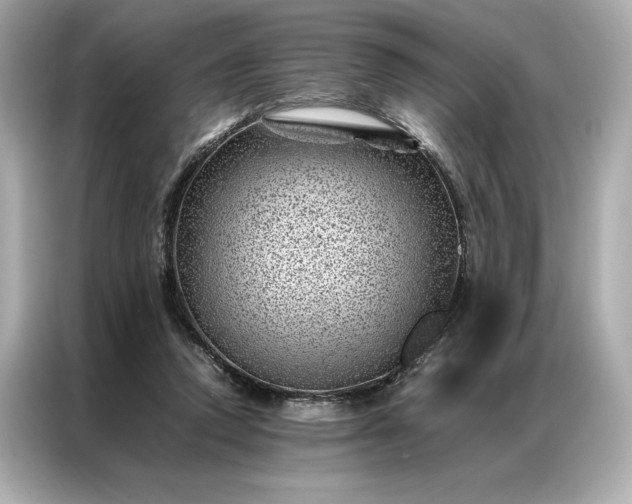 X0000086970354200704301302