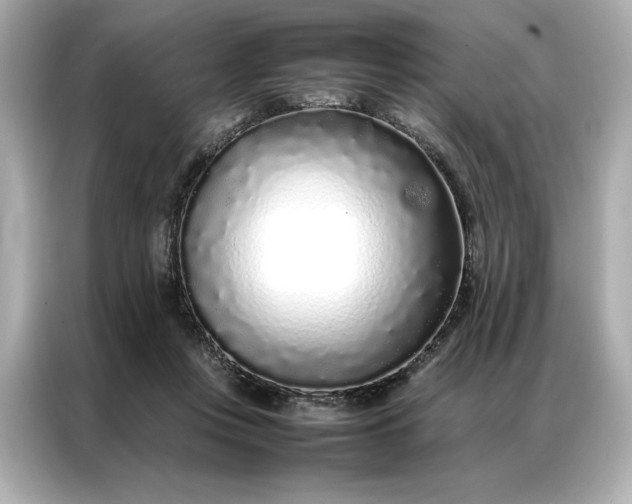 X0000086970359200704301302