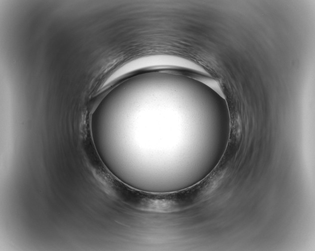 X0000086970360200704301302