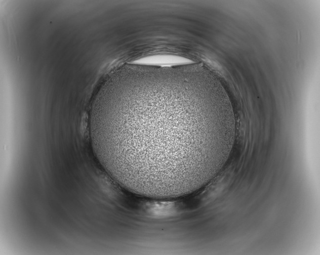 X0000086970361200704301302