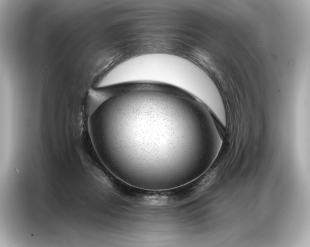 X0000086970362200704301302