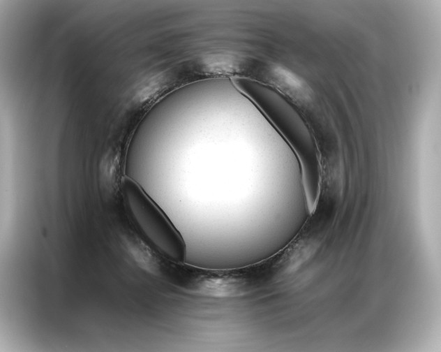 X0000086970364200704301302