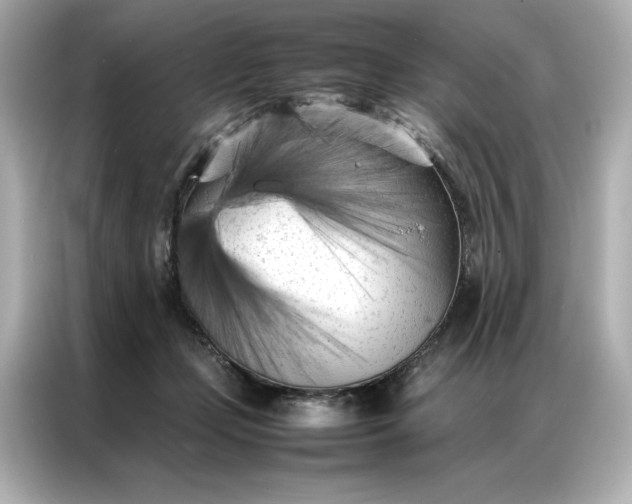 X0000086970365200704301302