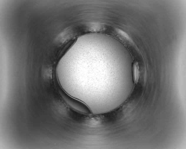 X0000086970368200704301302