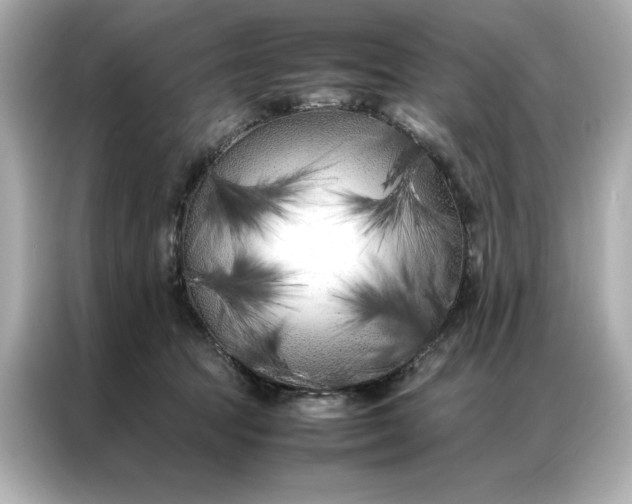 X0000086970369200704301302