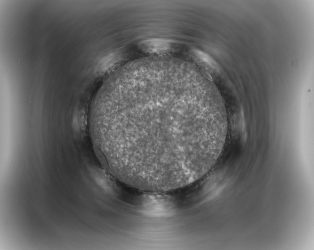 X0000086970372200704301302