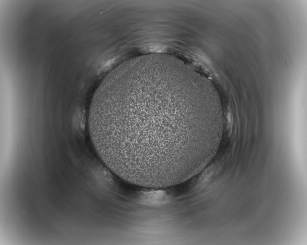 X0000086970374200704301302