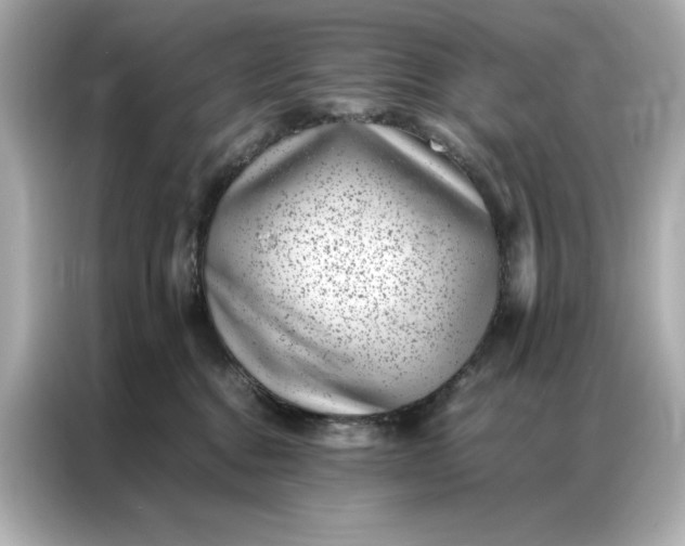 X0000086970376200704301302