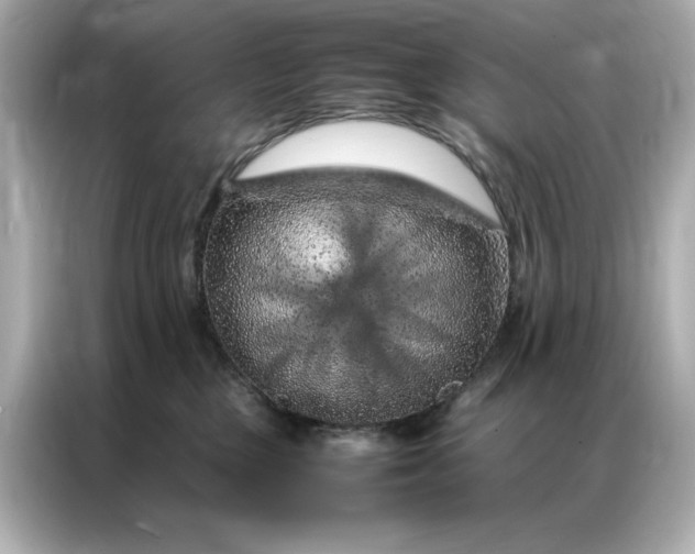 X0000086970377200704301302