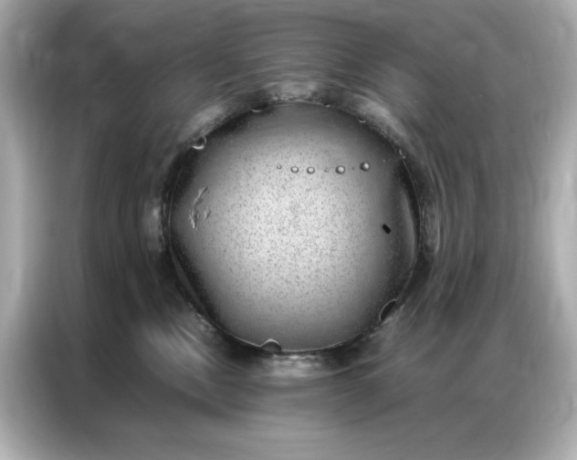 X0000086970378200704301302