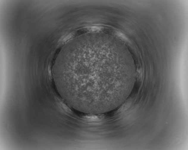 X0000086970381200704301302