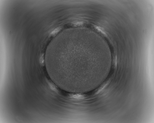 X0000086970383200704301302