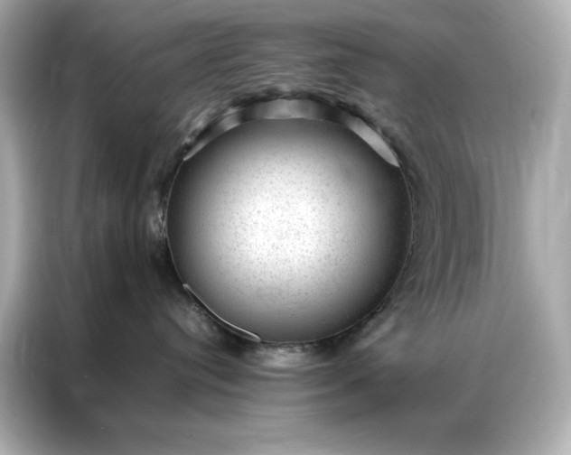 X0000086970384200704301302