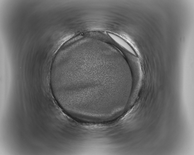 X0000086970385200704301302