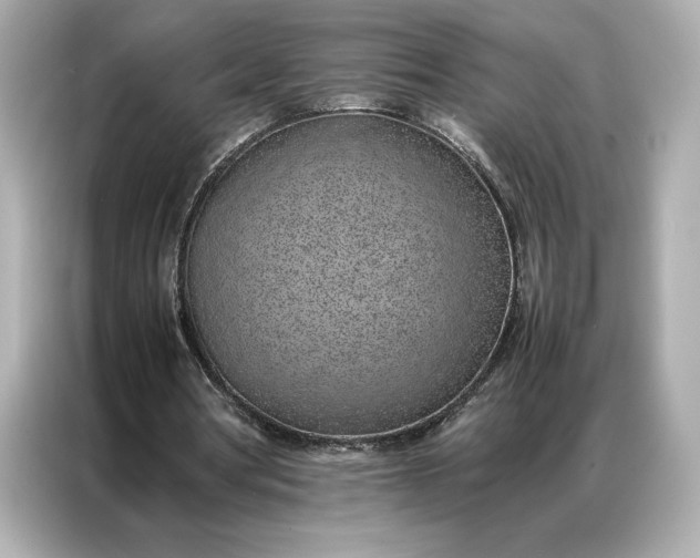 X0000086970386200704301302