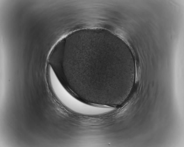 X0000086970387200704301302