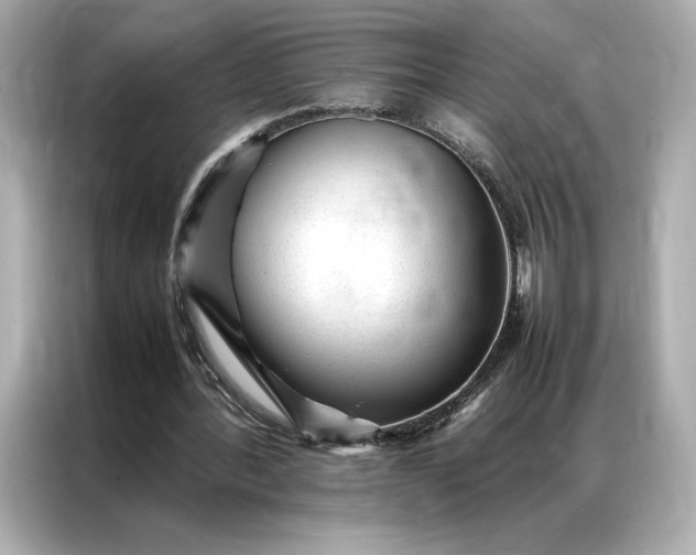 X0000086970388200704301302