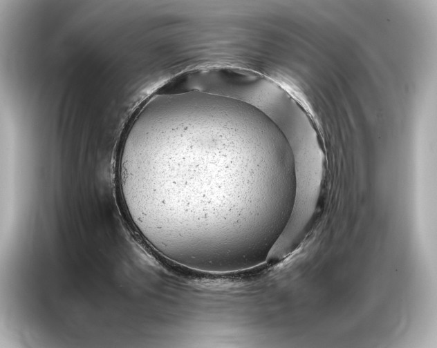 X0000086970389200704301302