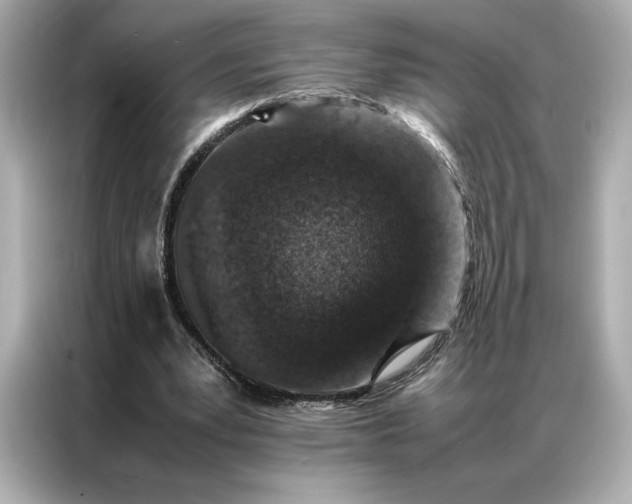 X0000086970391200704301302