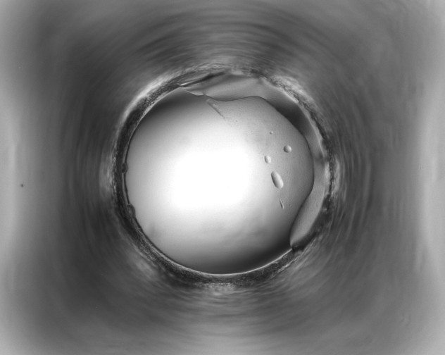 X0000086970392200704301302