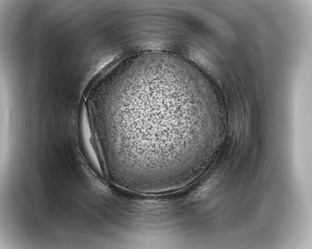 X0000086970394200704301302