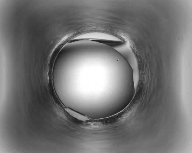 X0000086970395200704301302