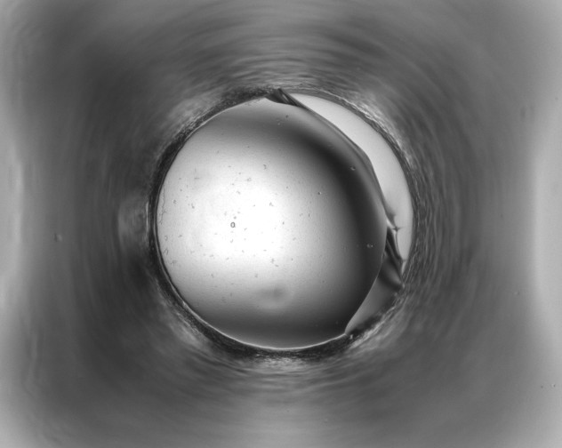 X0000086970397200704301302