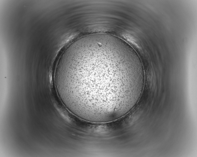 X0000086970398200704301302