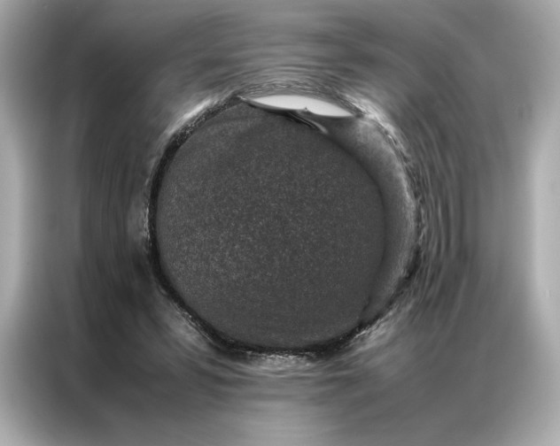 X0000086970399200704301302